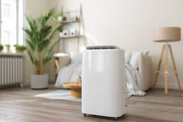 Best HVAC air duct cleaning  in Paloma Creek South, TX